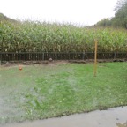 IMG_7174